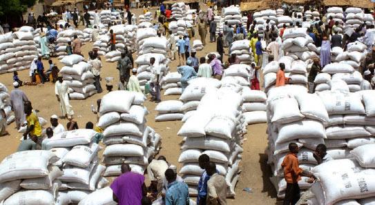 Marchés céréaliers au Niger : baisse du mil et du maïs en août 2026